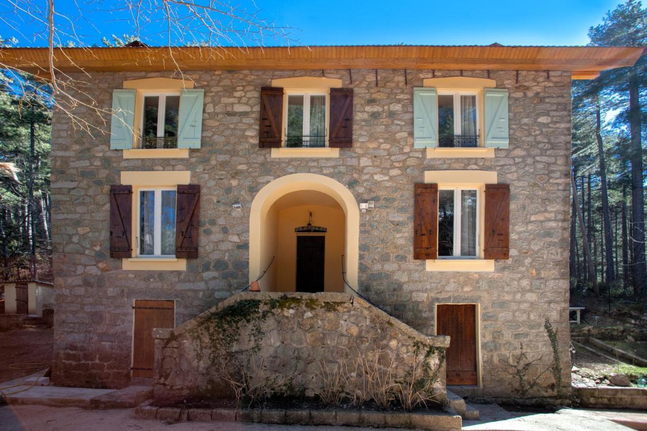 Casa Alta Bed & Breakfast Vizzavona Ngoại thất bức ảnh